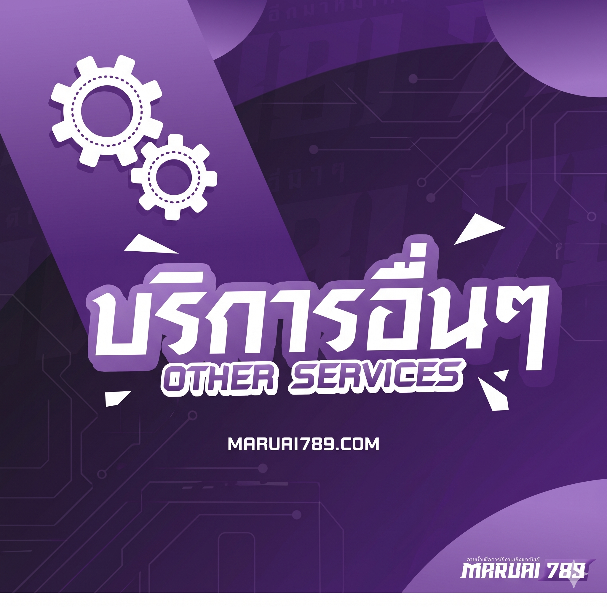 บริการอื่นๆ
